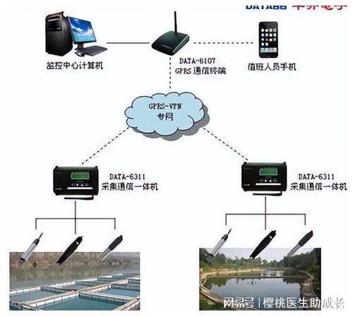 物联网技术在水产养殖系统中提高稳定性的关键技术策略